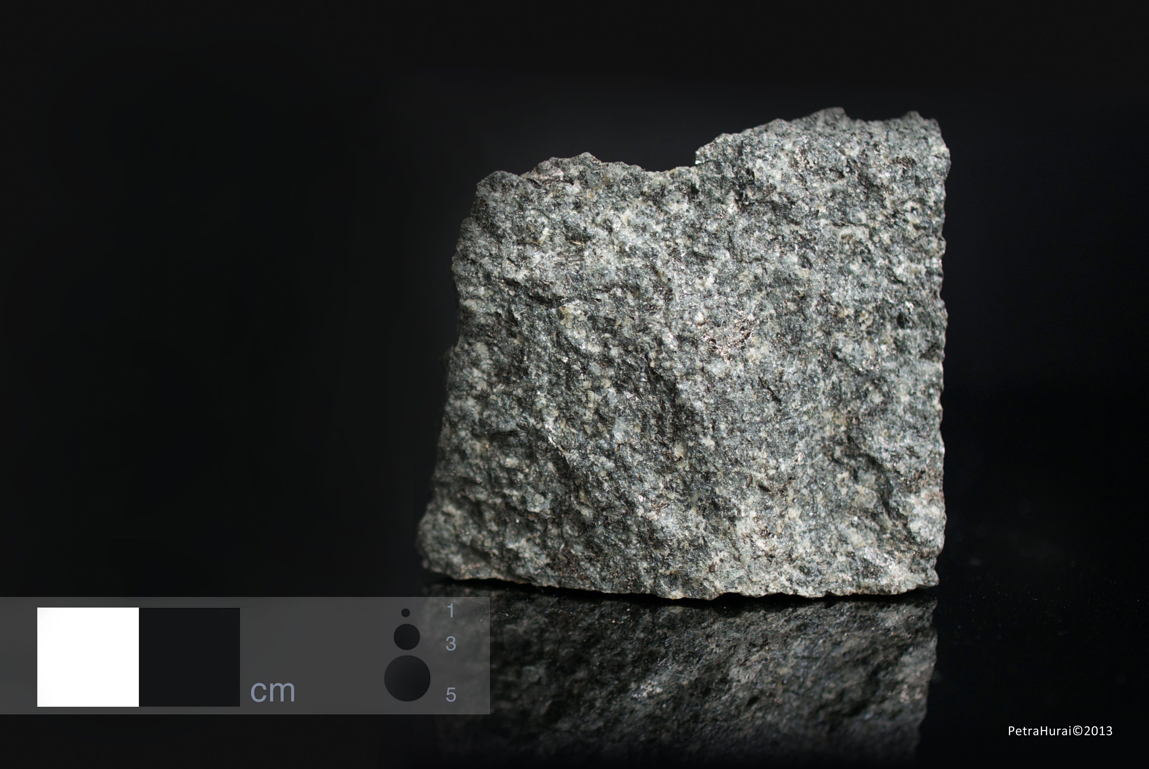 Quartz monzodiorite - Macro